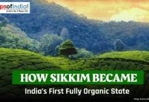 How Sikkim Became India’s First Fully Organic State Green terraced farmland with a lone tree and forested hills in the background, overlaid text reading “How Sikkim Became India’s First Fully Organic State” and “Maps of India” logo at top left.