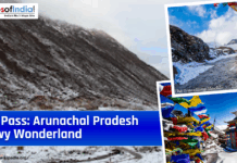 Sela Pass: Arunachal Pradesh’s Wonderland Covered in Snow Collage-style graphic of snow-covered Sela Pass in Arunachal Pradesh with mountain roads, colorful prayer flags, and a gateway, overlaid with the title “Sela Pass: Arunachal Pradesh Snowy Wonderland” and the Maps of India logo.