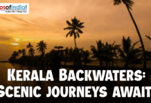 Kerala Backwaters: Scenic Journeys Await A silhouette of palm trees along the Kerala backwaters at sunset under a golden orange sky.