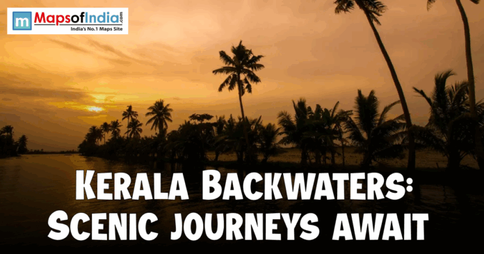 A silhouette of palm trees along the Kerala backwaters at sunset under a golden orange sky.