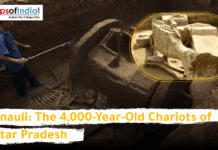 Sanauli: The 4,000-Year-Old Chariots of Uttar Pradesh Archaeological excavation in Sanauli, Uttar Pradesh, showing a 4,000-year-old wooden chariot and skeletal remains in a burial pit
