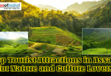 Top Tourist Attractions in Assam for Nature and Culture Lovers Scenic green tea gardens and rolling hills in Assam with inset landscape images and text reading “Top Tourist Attractions in Assam for Nature and Culture Lovers,” featuring a travel-themed banner from Maps of India.