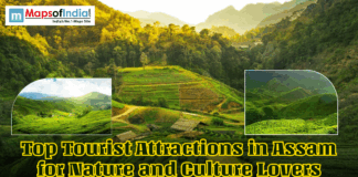 Top Tourist Attractions in Assam for Nature and Culture Lovers Scenic green tea gardens and rolling hills in Assam with inset landscape images and text reading “Top Tourist Attractions in Assam for Nature and Culture Lovers,” featuring a travel-themed banner from Maps of India.