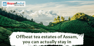 Offbeat tea estates of Assam, you can actually stay in Lush green rolling hills of a tea plantation in Assam under a cloudy sky with travel blog text overlay.