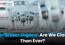 Lab-Grown Organs: Are We Closer Than Ever? Laboratory bioreactor system used for developing lab-grown human organs for medical research and transplantation