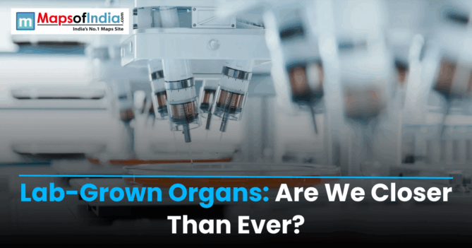 Laboratory bioreactor system used for developing lab-grown human organs for medical research and transplantation