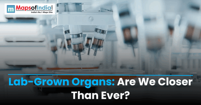 Laboratory bioreactor system used for developing lab-grown human organs for medical research and transplantation