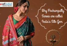 Why Pochampally Sarees Are Called India’s Silk Gem Woman wearing a traditional Pochampally silk saree with vibrant Ikat patterns and red-green drape, alongside text reading “Why Pochampally Sarees are called India’s Silk Gem” and Maps of India logo