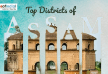 Top Districts of Assam Distorted and glitched collage of overlapping mobile screen elements with partial images and interface fragments.