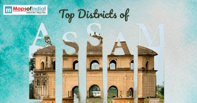 Distorted and glitched collage of overlapping mobile screen elements with partial images and interface fragments.