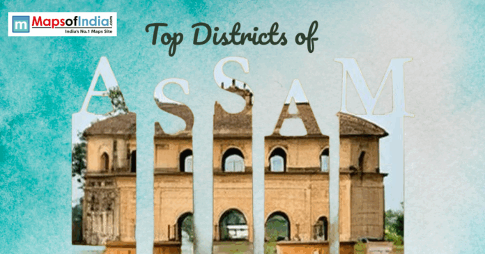 assam Distorted and glitched collage of overlapping mobile screen elements with partial images and interface fragments.