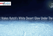 What Makes Kutch’s White Desert Glow Under The Moon Moonlight illuminating the White Desert of Kutch with glowing salt flats under a clear night sky.