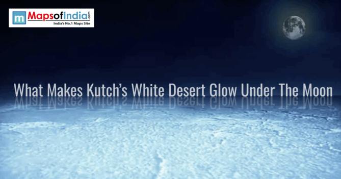 Moonlight illuminating the White Desert of Kutch with glowing salt flats under a clear night sky.