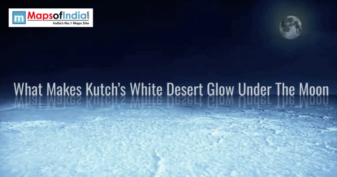 Moonlight illuminating the White Desert of Kutch with glowing salt flats under a clear night sky.