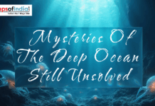 Mysteries Of The Deep Ocean Still Unsolved Illustration of the deep ocean with glowing jellyfish and light rays, featuring the title “Mysteries of the Deep Ocean Still Unsolved.”