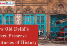 How Old Delhi’s Street Preserve Centuries of History Historic Old Delhi street with carved arches, turquoise wooden doors, and a parked cycle rickshaw in front of a heritage building.