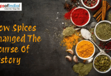 How Spices Changed The Course Of History Assorted colorful spices like turmeric, chili powder, cardamom, and pepper with the title “How Spices Changed the Course of History”