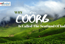 Why Coorg Is Called The Scotland Of India? Mist-covered green hills and tea plantations in Coorg.