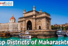 Top Districts of Madhya Pradesh Top districts of Maharashtra banner featuring Gateway of India and Mumbai waterfront scene
