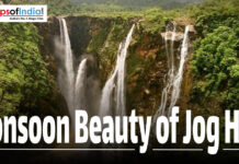 Monsoon Beauty at Jog Hills Jog Falls plummeting through lush green cliffs during monsoon.