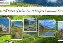 Top Hill Cities of India For A Perfect Summer Escape Scenic collage of India’s hill cities with tea gardens, mountains, waterfalls, and valleys titled “Top Hill Cities of India For A Perfect Summer Escape”