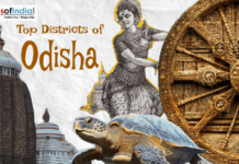 Top Districts of Odisha Collage of Odisha culture with temple, Konark wheel, dancer, and turtle with “Top Districts of Odisha