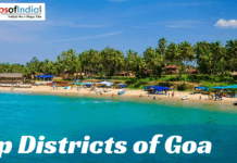 Top Districts of Goa: Best Places to Explore Scenic beach view in Goa with palm trees, clear blue water, and tourists enjoying the shoreline, titled “Top Districts of Goa.”