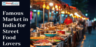 Famous Markets in India for Street Food Lovers Street food stalls in an Indian market with colorful lights and various dishes displayed for food lovers.