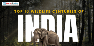 Top 10 Wildlife Sanctuaries in India Poster featuring an elephant in a forest with the text “Top 10 Wildlife Centuries of India” and Maps of India logo.