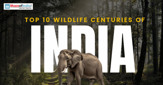 Poster featuring an elephant in a forest with the text “Top 10 Wildlife Centuries of India” and Maps of India logo.