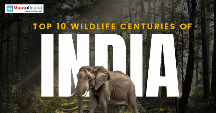 Poster featuring an elephant in a forest with the text “Top 10 Wildlife Centuries of India” and Maps of India logo.