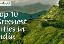 Top 10 Greenest Cities in India Scenic green hills and winding road representing the top 10 greenest cities in India