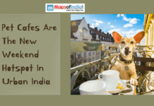 Pet Cafés Are The New Weekend Hotspot In Urban India Poster featuring a dog sitting at a café table with the text “Pet Cafes Are The New Weekend Hotspot In Urban India”.