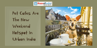 Pet Cafés Are The New Weekend Hotspot In Urban India Poster featuring a dog sitting at a café table with the text “Pet Cafes Are The New Weekend Hotspot In Urban India”.