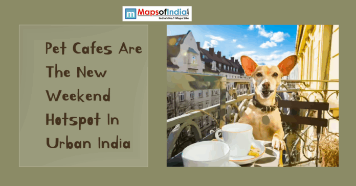pet cafe Poster featuring a dog sitting at a café table with the text “Pet Cafes Are The New Weekend Hotspot In Urban India”.