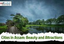 Cities in Assam: Beauty and Attractions Scenic landscape showcasing the natural beauty of Assam with a riverside village, lush greenery, and tranquil waters.