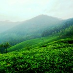 Munnar