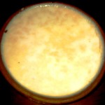 Mishti Doi
