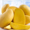 National Fruit of India: Mango