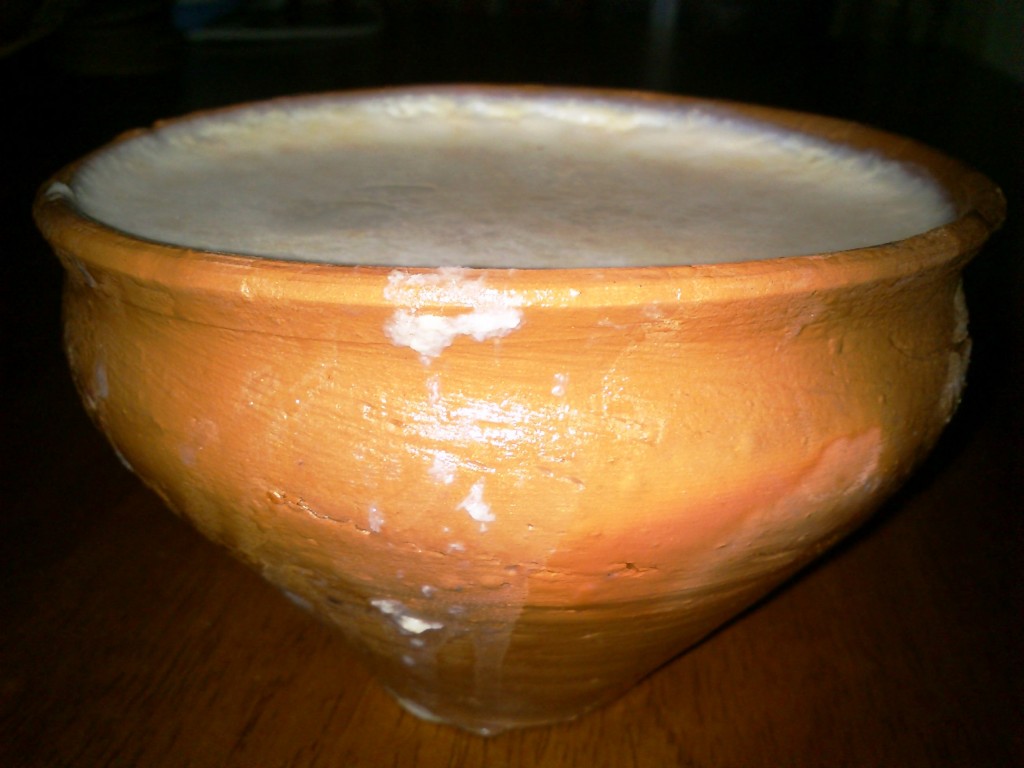 Mishti Doi in Earthen Bowls