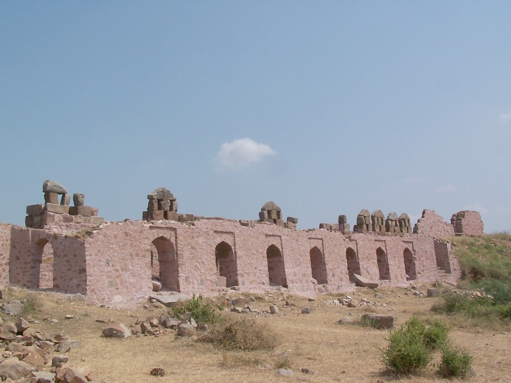 Lal Kot or Qila Rai Pithora Image