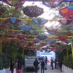 Chatrion Wala Raasta at Jaipur Literature Festival