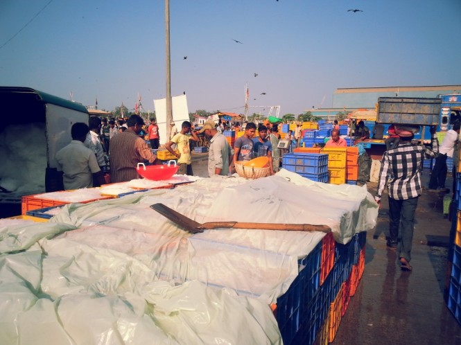 Fish Market at Malpe Port