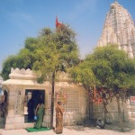 Holy tree at Becharaji Temple