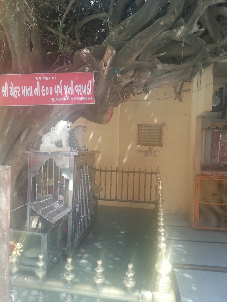 Sacred Tree at Gogaji Dham