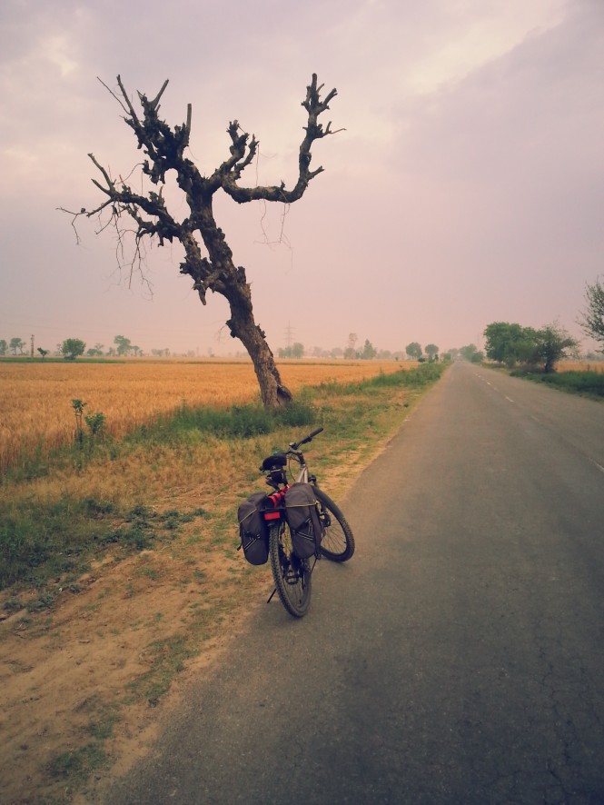 Cycling on a beautiful route