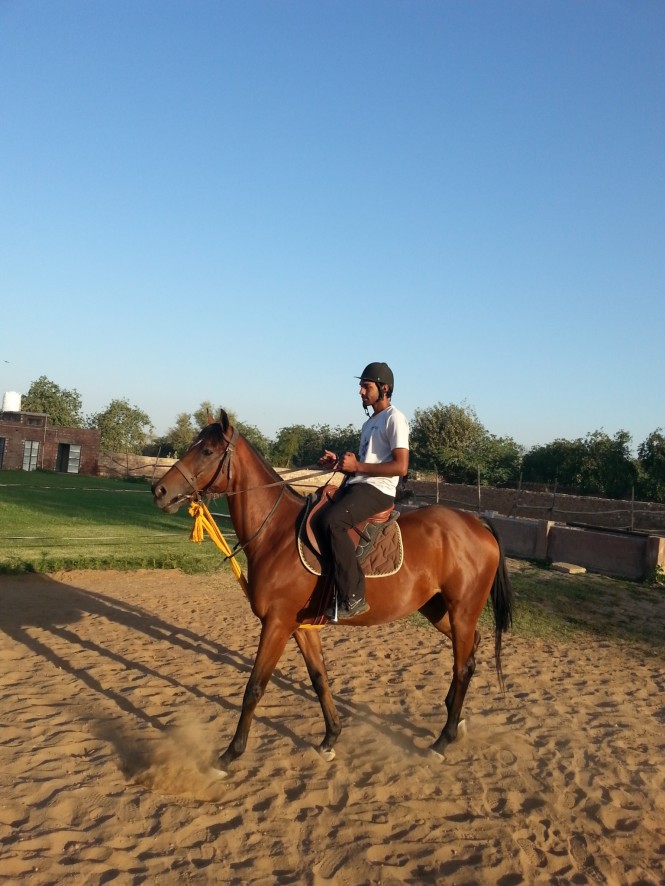 Horse Riding