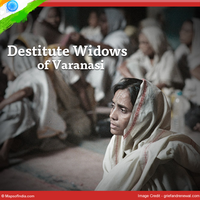 Destitute Widows of Varanasi