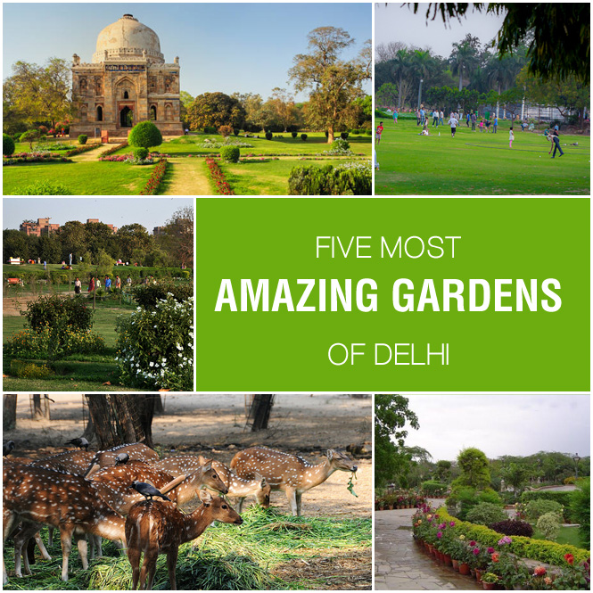 Gardens Of Delhi