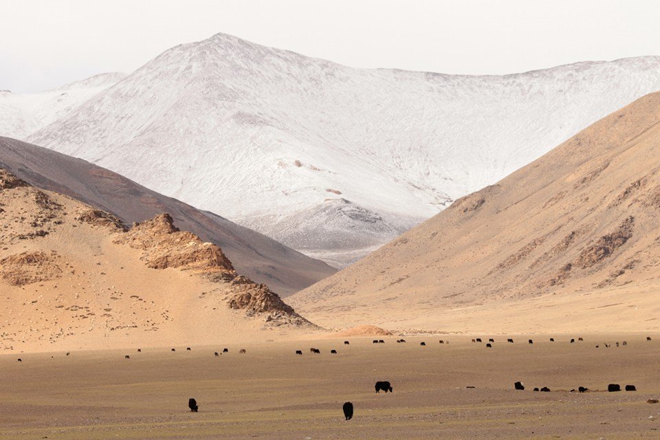 Debring, ladakh